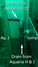 Crab Lab. system drain