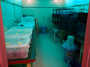 Crab Lab from doorway