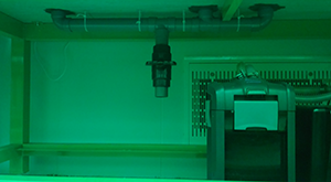 Crab lab system H & J aquaria to sump pipe