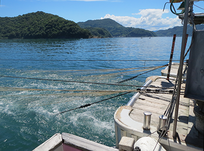 Twin boats hauling in net
